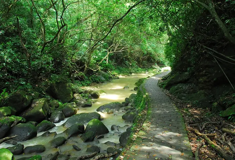 大溝溪親水步道 怎麼去
