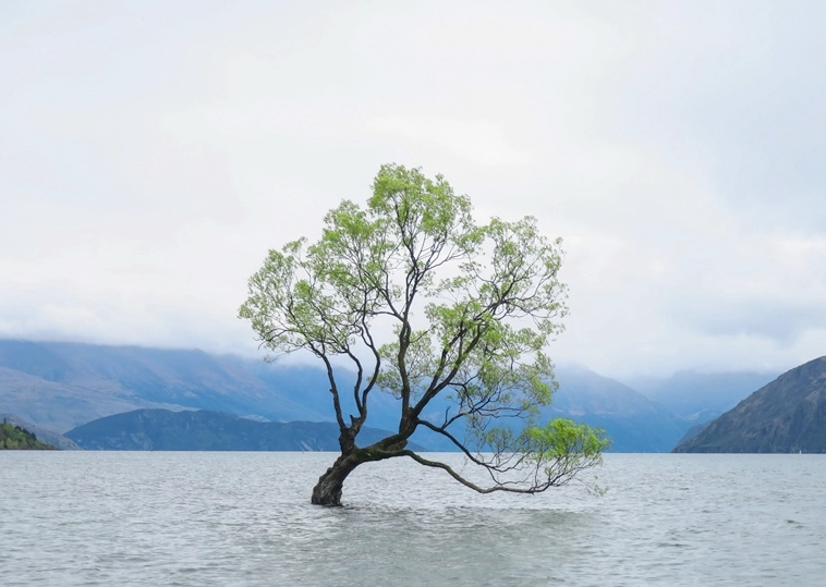 瓦納卡旅遊攻略