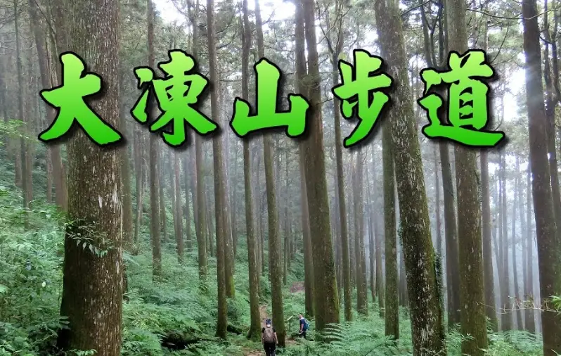 嘉義大凍山步道