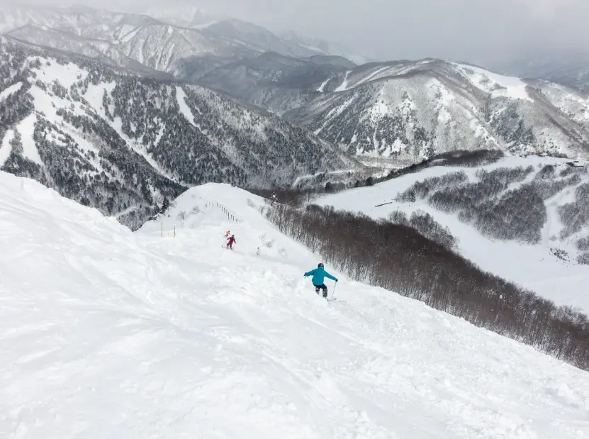 八方尾根滑雪場