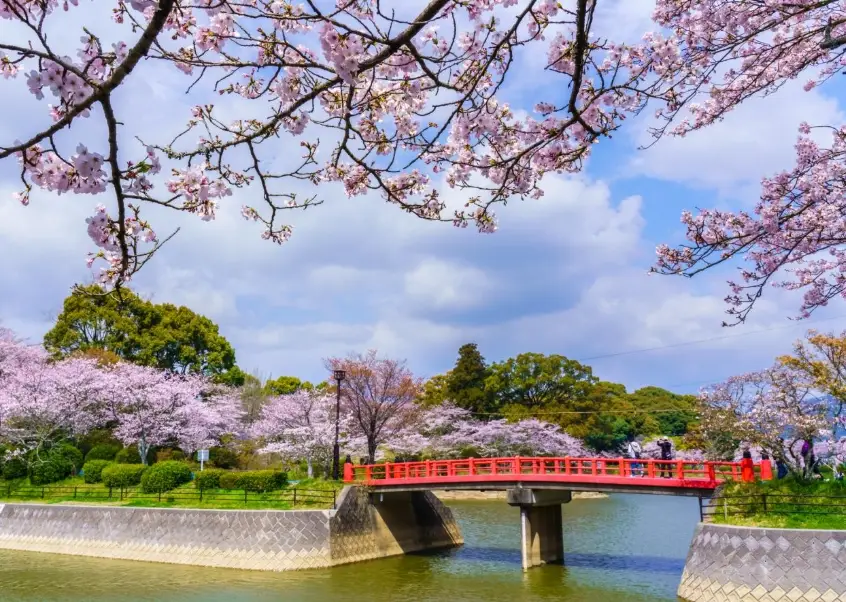 福岡自駕遊10天規劃，新手也能輕鬆上路的行程與租車攻略