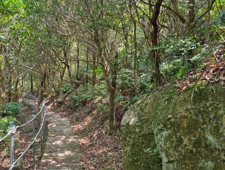 台北公車登山