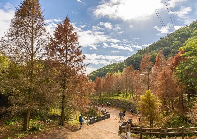 陽明山景點推薦
