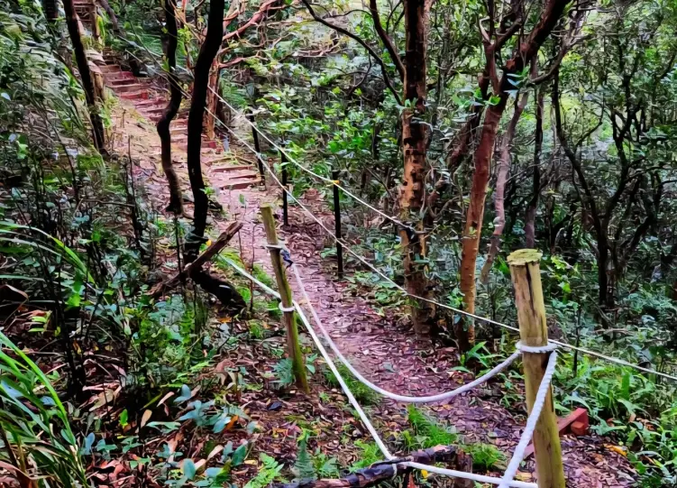 忠義山步道交通