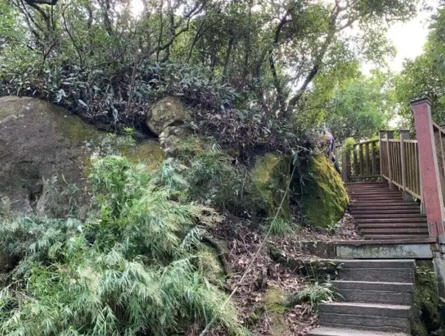忠義山步道交通