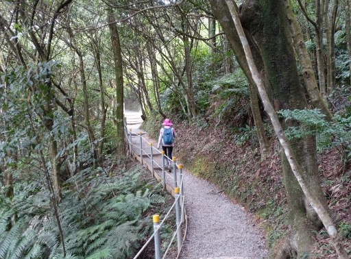 大崙尾山健行