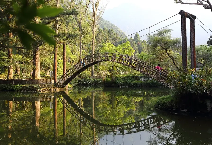 溪頭步道