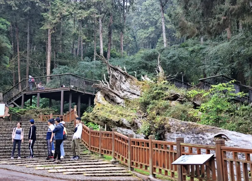 溪頭步道