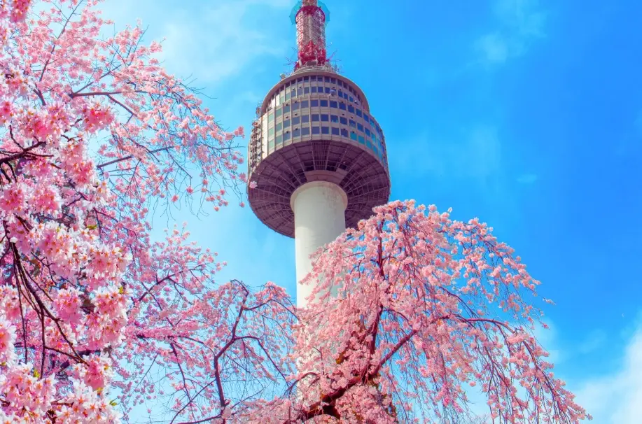 首爾塔 晚上