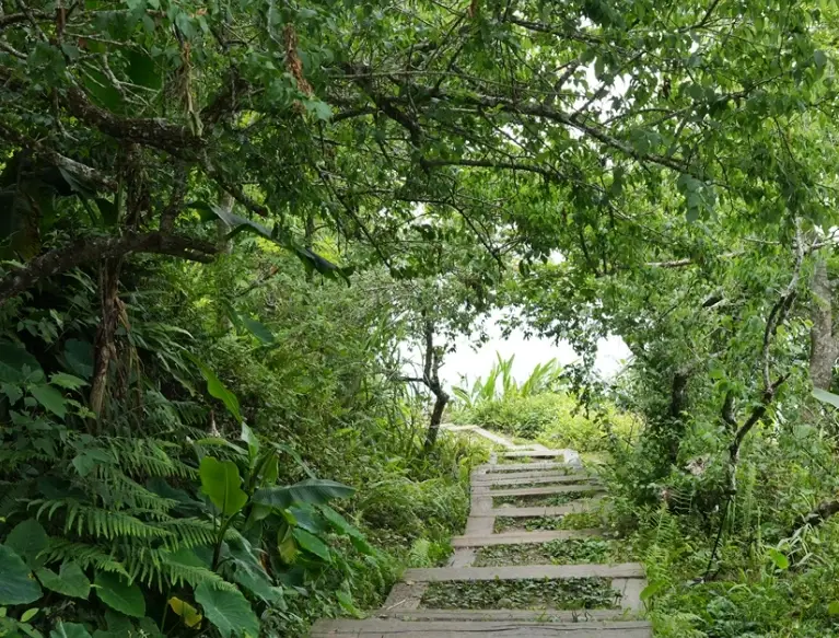 關子嶺親子景點