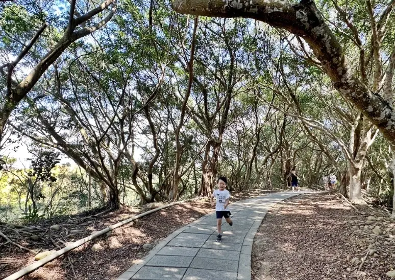 關子嶺步道