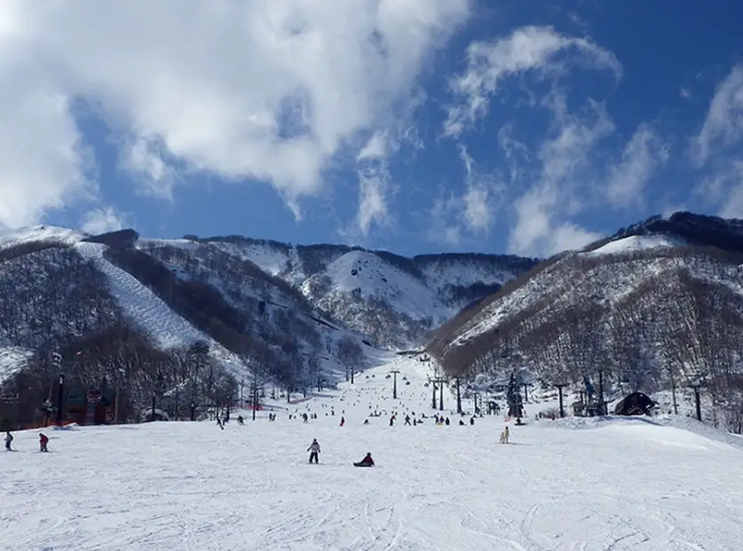 白马滑雪 教学
