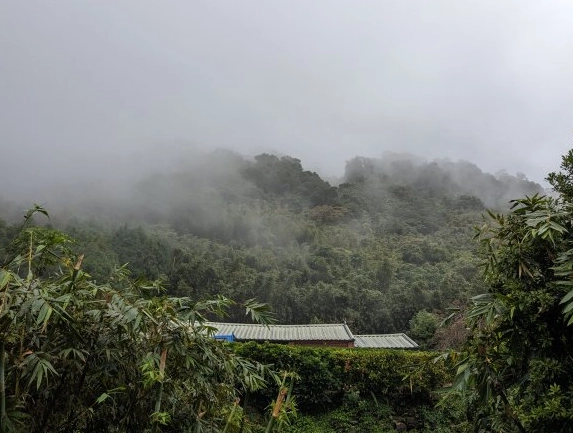 溪山苗圃站 交通