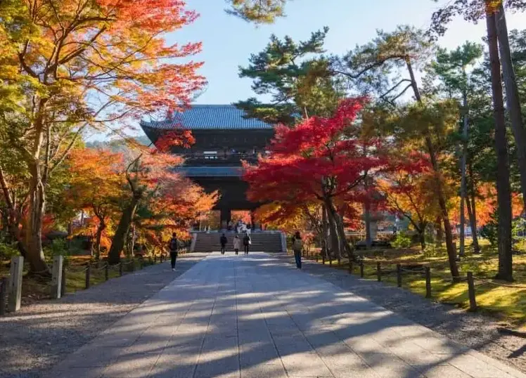 南禪寺交通