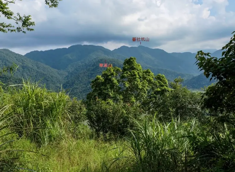 溪山苗圃站 交通