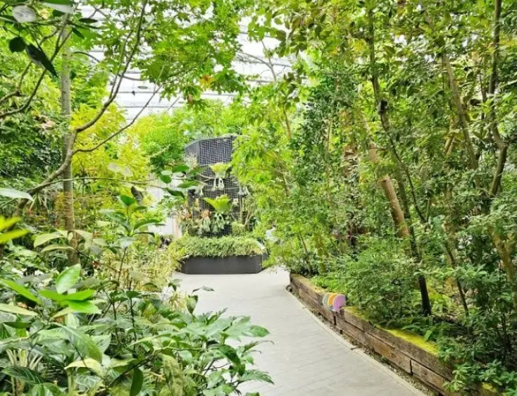 溪山苗圃站 植物