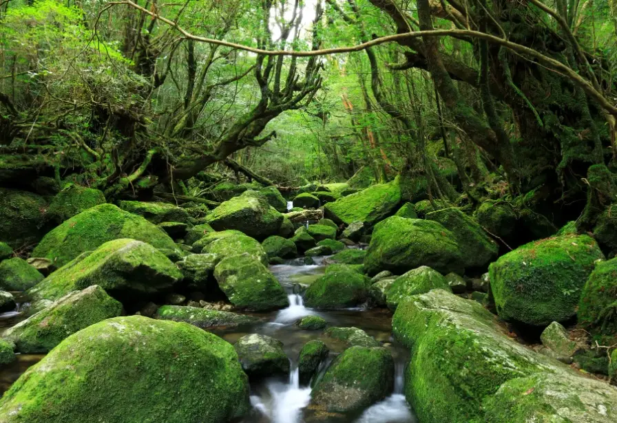 九州景點