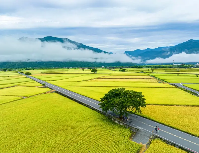 台東拍照景點 台東拍照景點