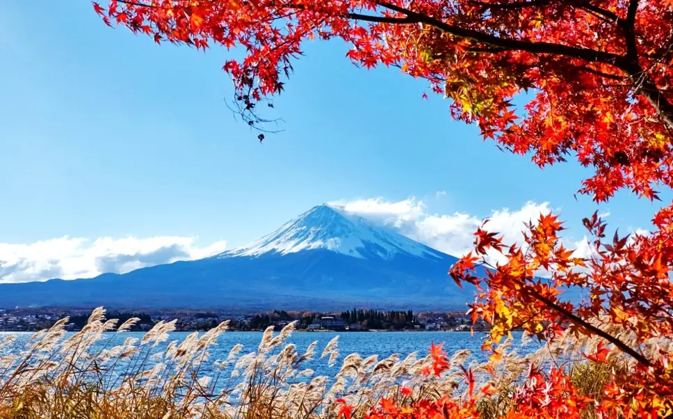 富士山觀賞機率 富士山觀賞機率