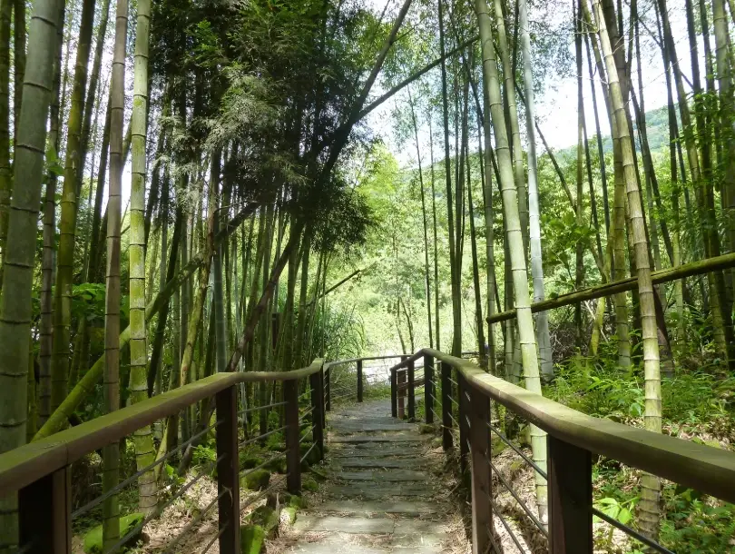 大凍山登山路線