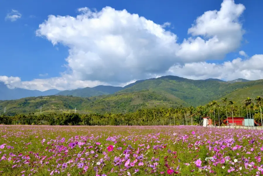 花蓮景點推薦