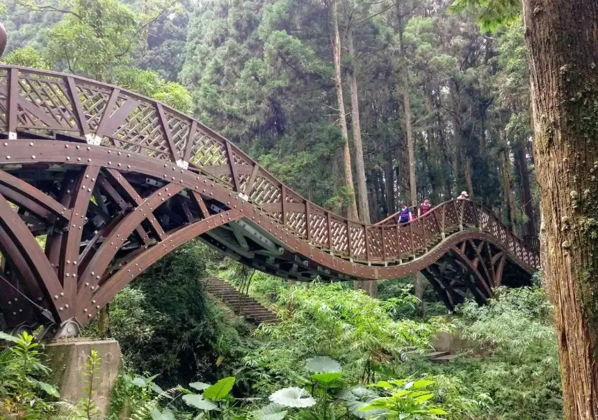 溪頭景點 溪頭景點