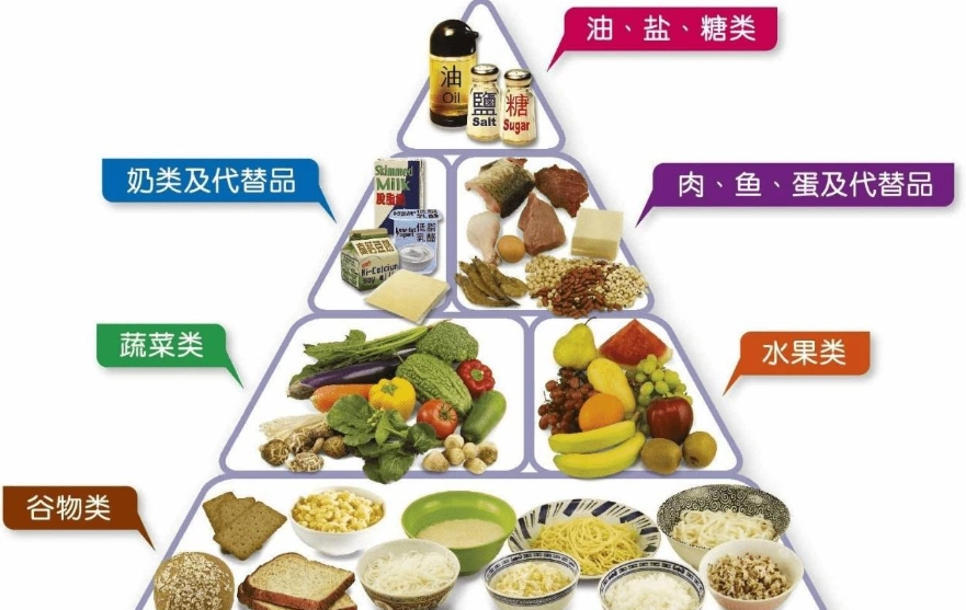 蛋白質碳水脂肪比例