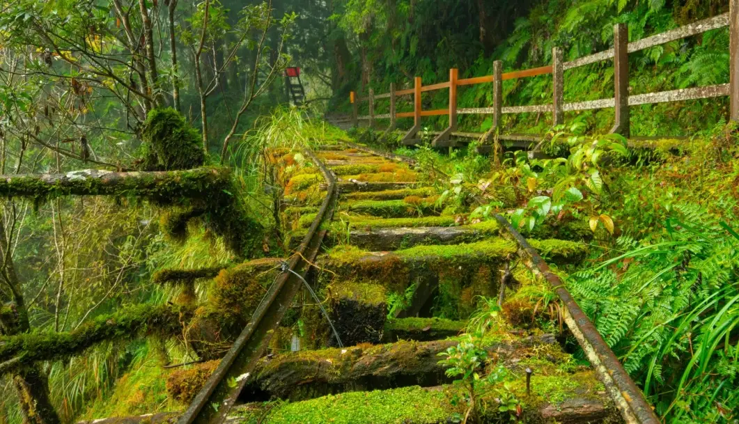 宜蘭花蓮行程 宜蘭花蓮行程