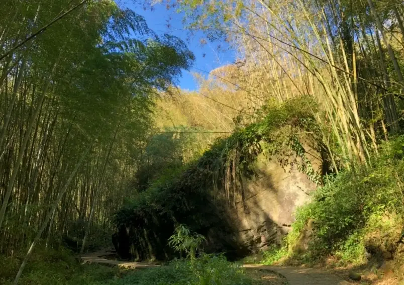 桃園登山步道推薦