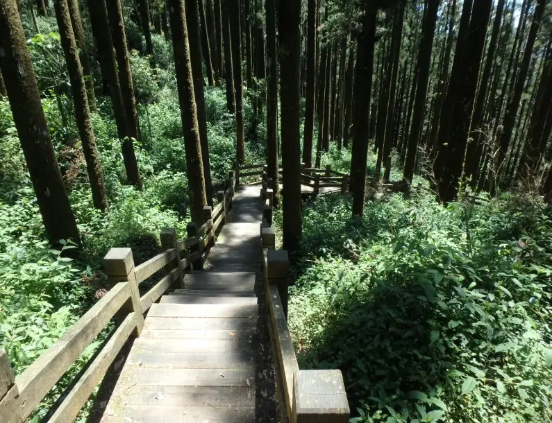 大凍山登山路線