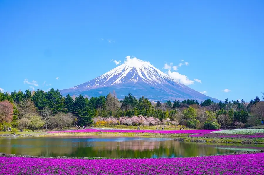河口湖看富士山 河口湖看富士山