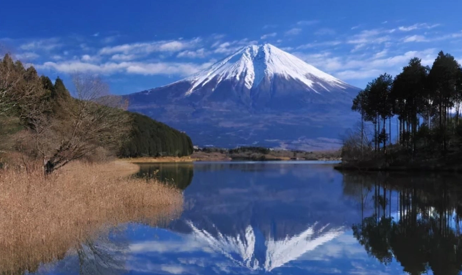富士山觀賞機率 富士山觀賞機率