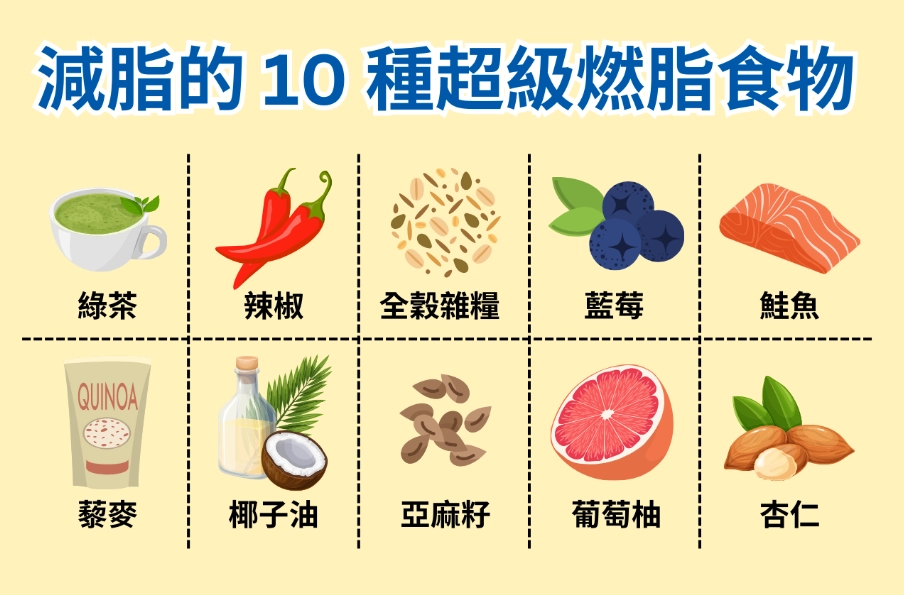 減脂飲食比例
