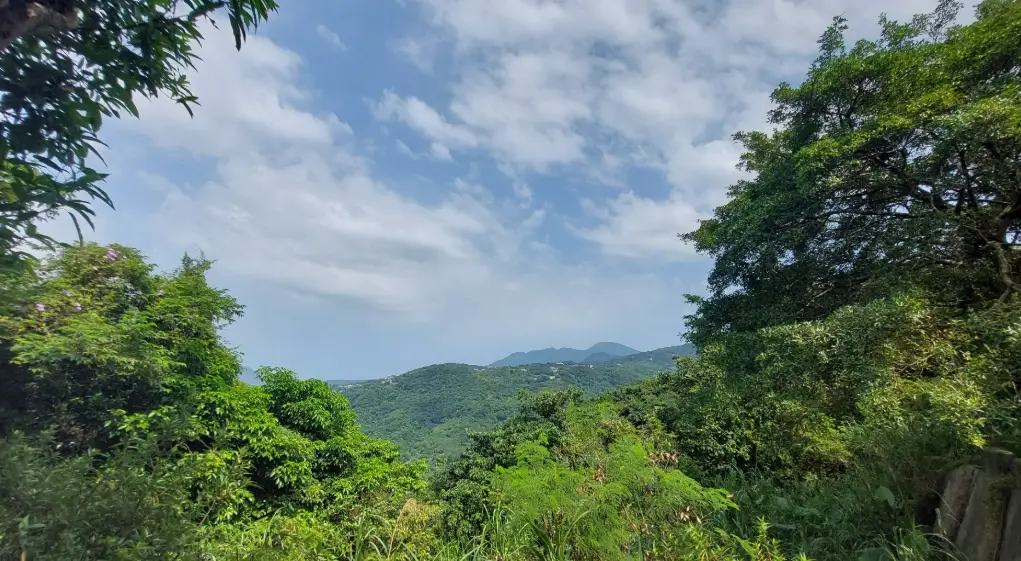 大崙頭山交通 大崙頭山交通