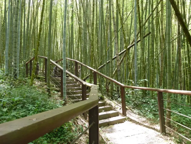 大凍山登山路線