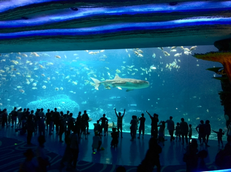 珠海長隆海洋王國門票