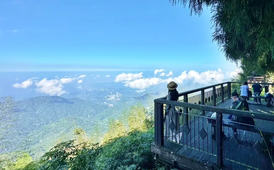 阿里山登山路線 阿里山登山路線