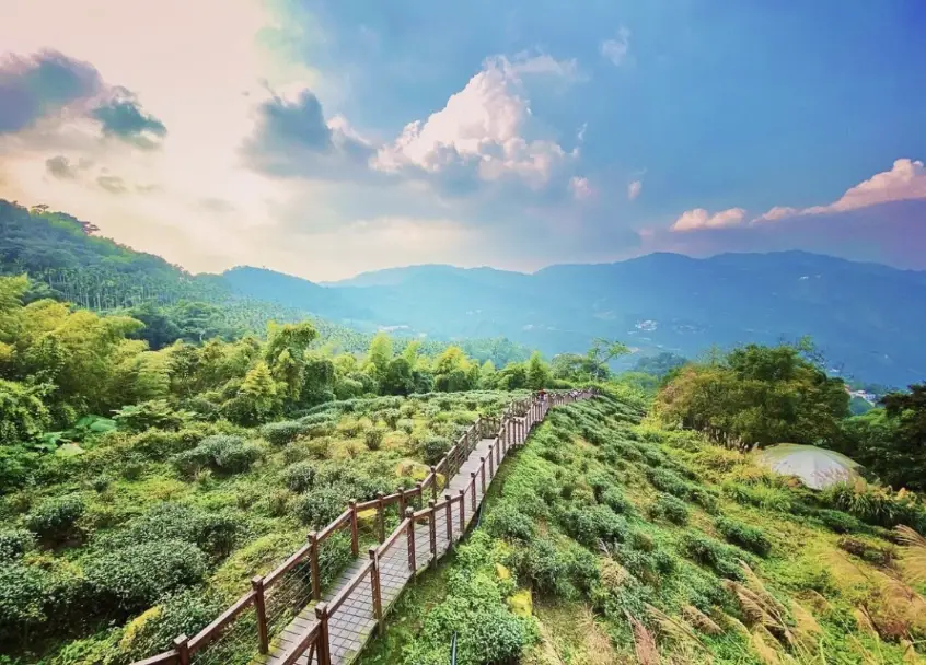 阿里山登山路線 阿里山登山路線