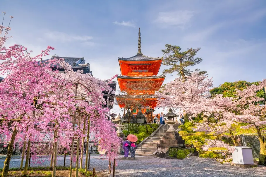 京都自由行 京都自由行