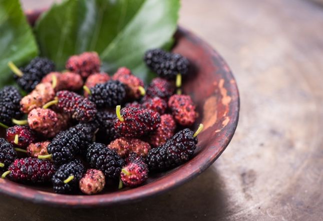 桑葚功效 桑葚功效