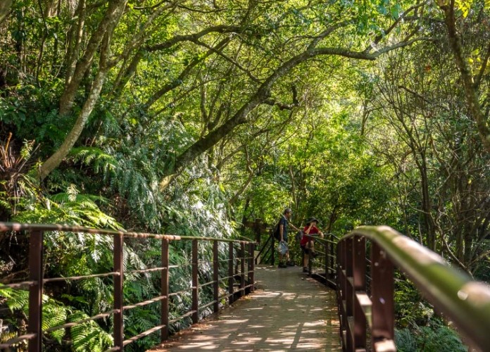 碧溪步道：交通停車、步道資訊與周邊景點完整攻略