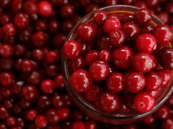 蔓越莓鉀健康 蔓越莓鉀健康