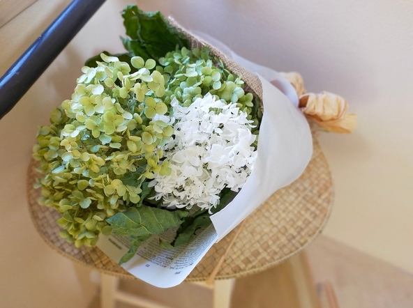 綠色花卉花語 綠色花卉花語