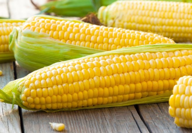 玉米鉀含量 玉米鉀含量