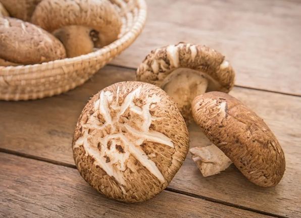 吃香菇會脹氣嗎