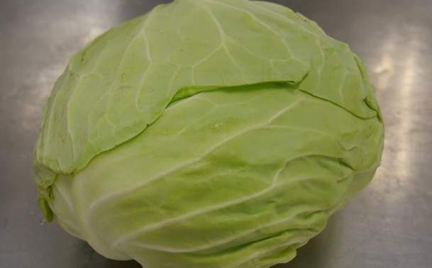 高麗菜熱量 高麗菜熱量