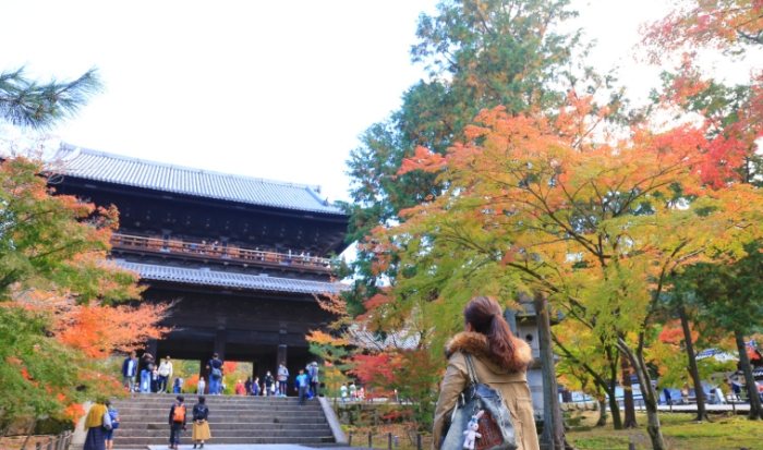京都南禪寺美食 京都南禪寺美食