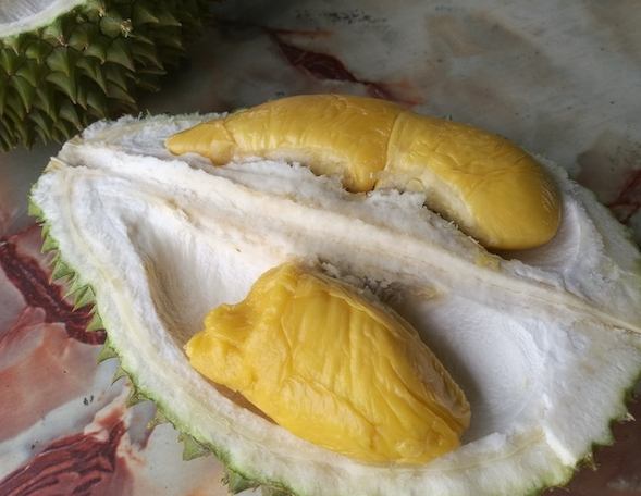 榴槤孕婦營養 榴槤孕婦營養