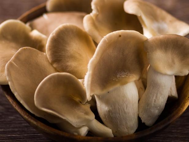 秀珍菇新鮮度判斷 秀珍菇新鮮度判斷