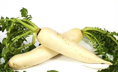 紅蘿蔔白蘿蔔一起吃壞處 紅蘿蔔白蘿蔔一起吃壞處